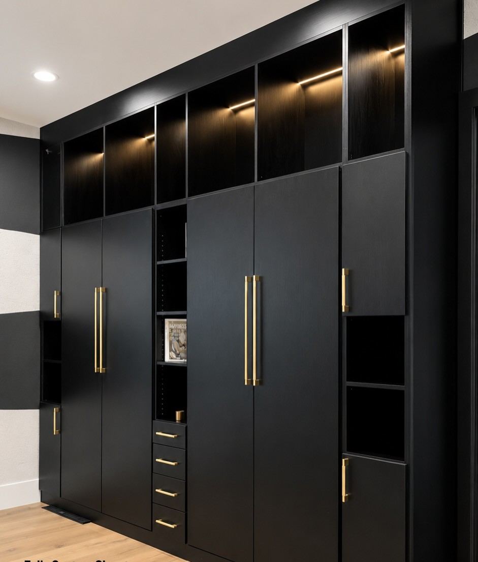 Full wall matte black closet with brass handles and integrated LED lighting